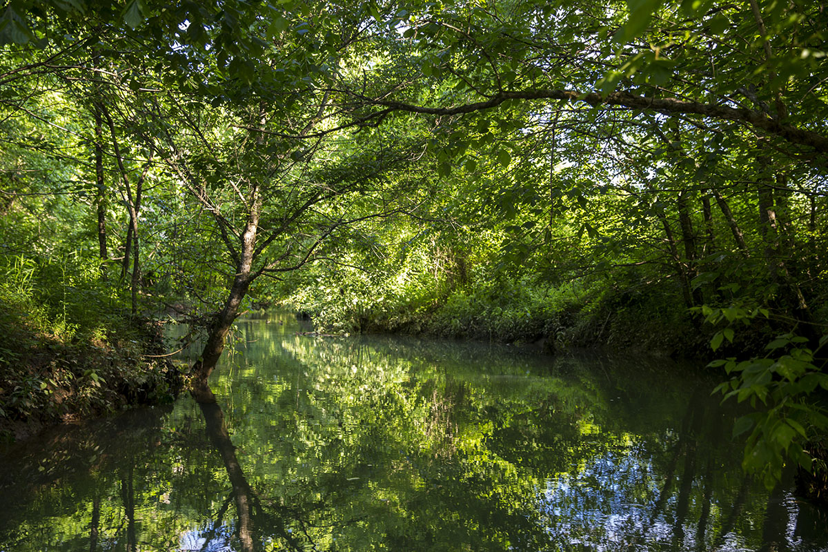Mud Creek Farm Hall and Hall